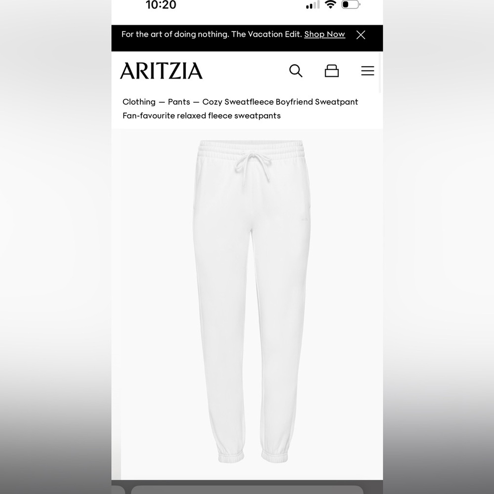 ARITZIA TNA COZYAF SWEAT PANTS